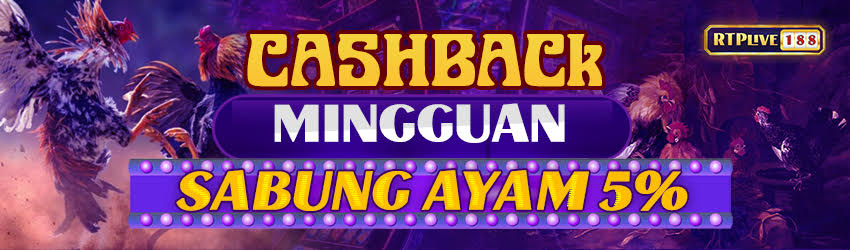 cashback sabung ayam 5%